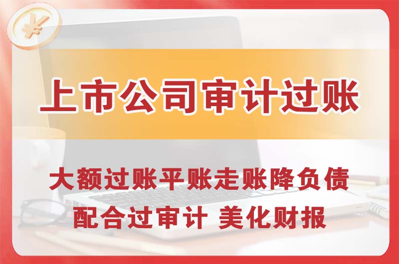 佛山上市公司审计过账